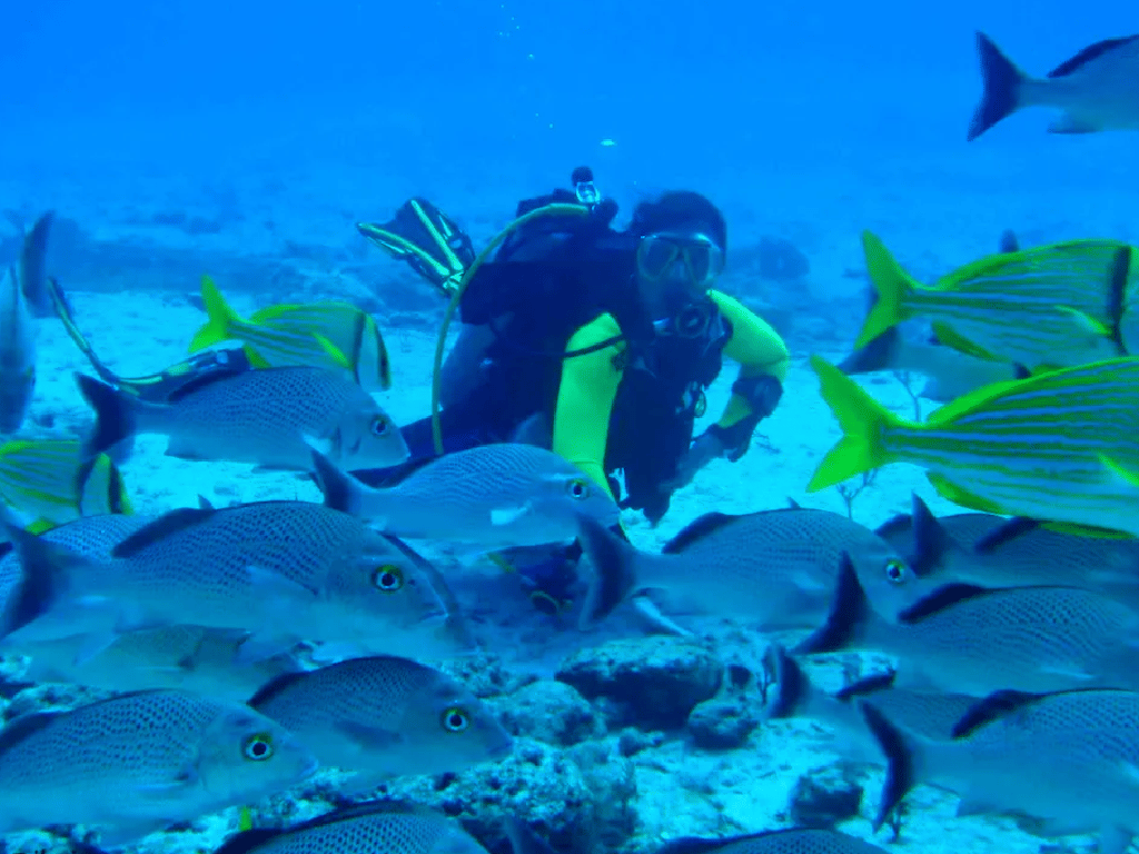 Buceo en Playa del carmen