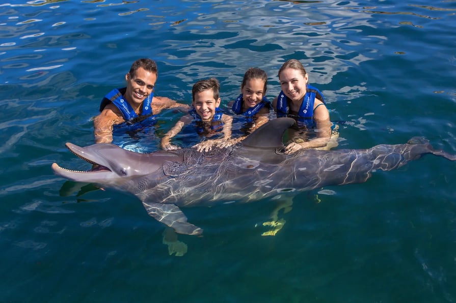 Delphinus Riviera Maya