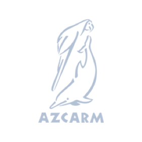 azcarm