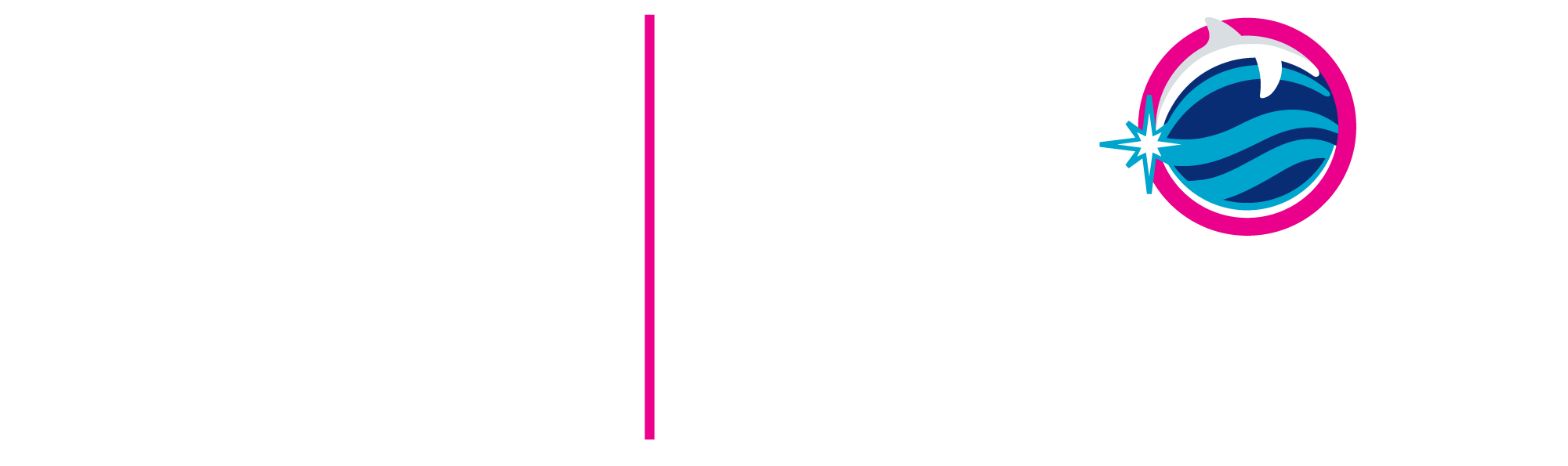 Logo Delphinus 35a bco ing