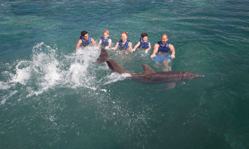 Xcaret Dolphin Tour