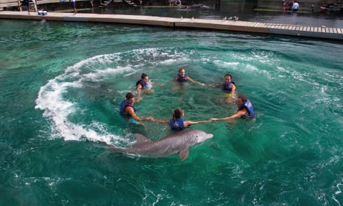 Xcaret Dolphin Tour