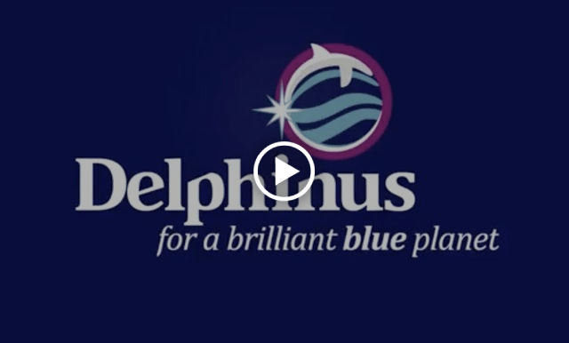 delphinus video portada