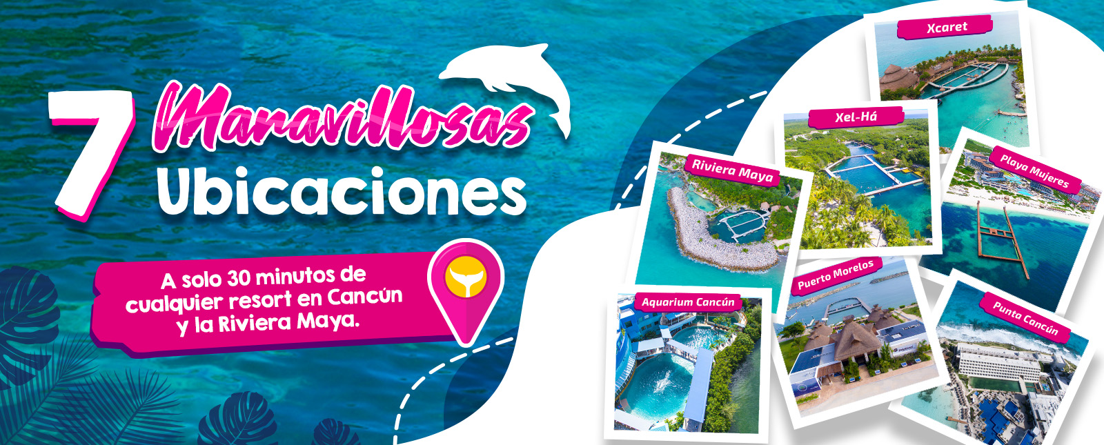 Nado con delfines en cancun y riviera maya locaciones