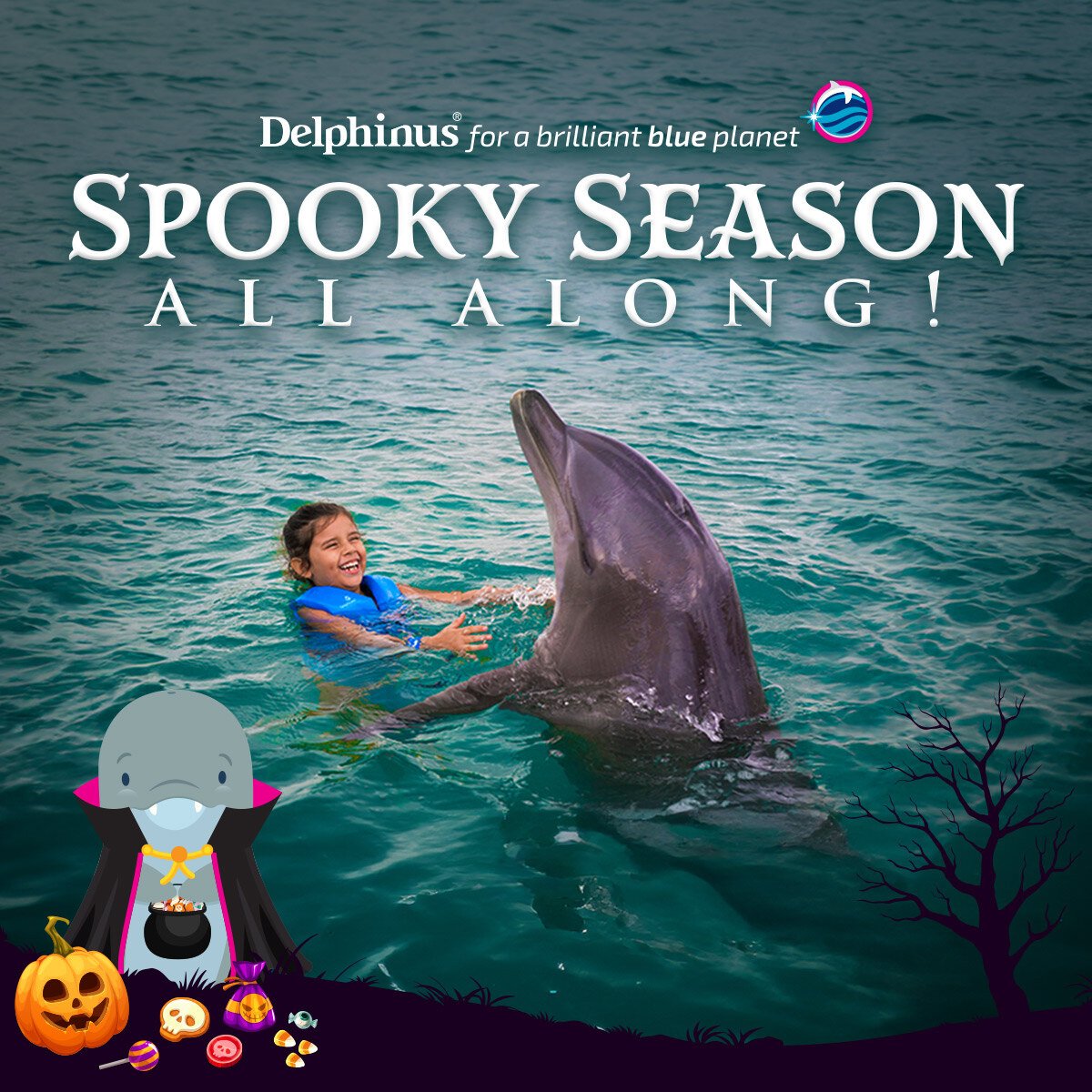 halloween swim with dolphins cancun riviera maya costa mujeres