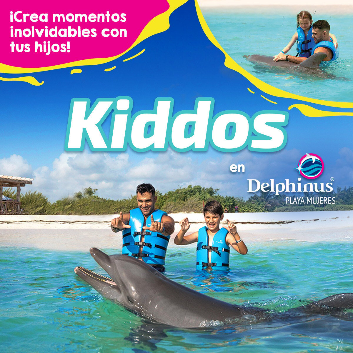 Nado con delfines cancun riviera maya costa mujeres