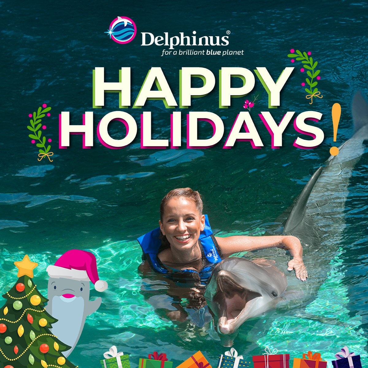 Christmas swim with dolphins cancun and the riviera maya