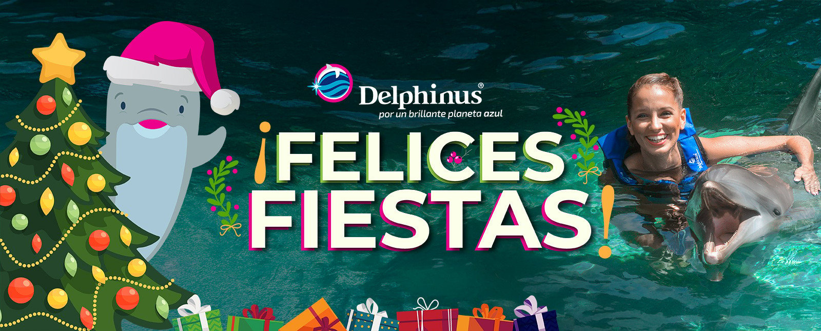 Navidad nado con delfines en cancun y riviera maya