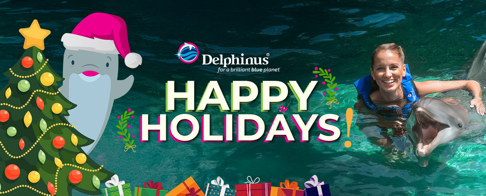 Christmas swim with dolphins cancun and the riviera maya