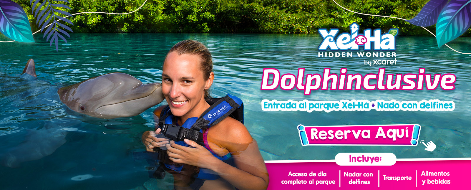 Nado con delfines Cancun y Riviera Maya xelha